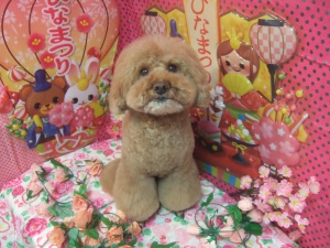 ボーくん