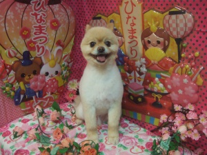 レオンくん