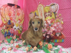 くぅちゃん