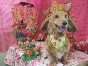 ココアちゃん