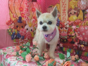 タロウくん