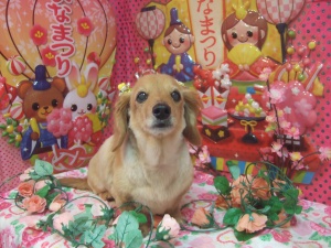 ナナちゃん
