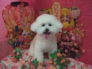 マロンくん