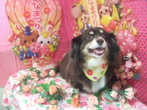 あさりちゃん