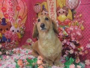 王子くん