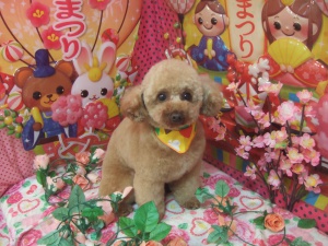 のあくん