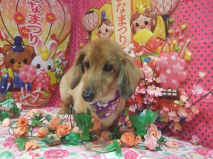 ジュウくん
