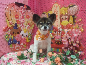 まめくん