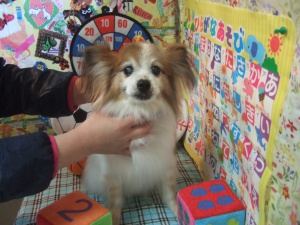 ふうたくん