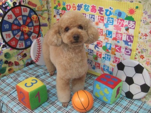 トトちゃん
