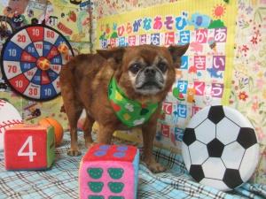 プチくん
