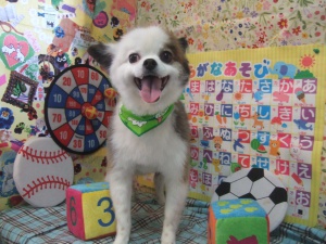 プルちゃん