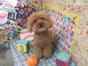 ボーくん