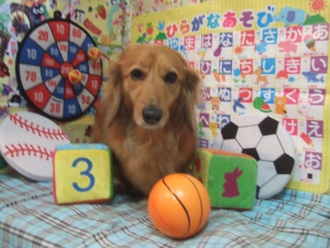 王子くん