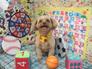 くぅくん
