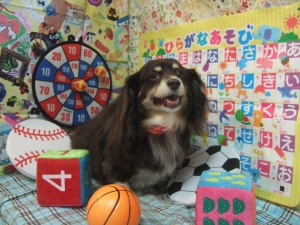 くぅくん