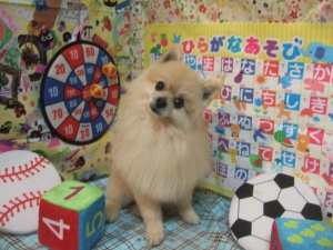 小太郎くん