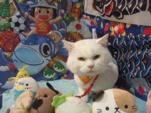 シフォンくん