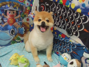 ふうたくん