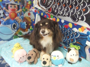 あさりちゃん