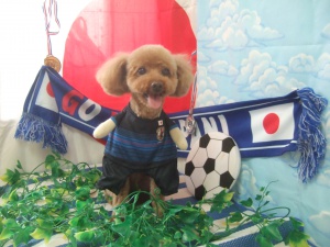 ティアラちゃん