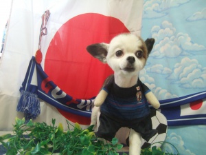 こたろうくん