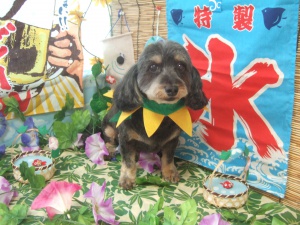 リンクくん