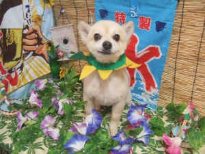 アロハくん