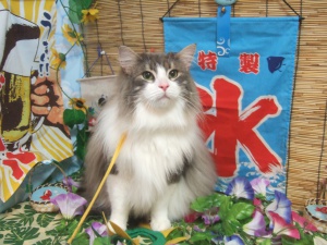 ジョンくん