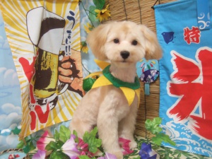 イチくん