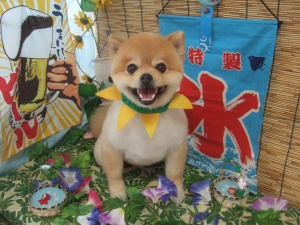 ふうたくん