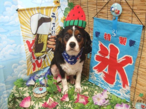 ももきちくん