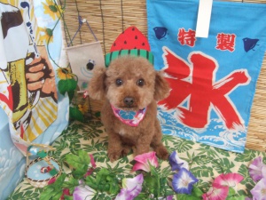 ベティーちゃん