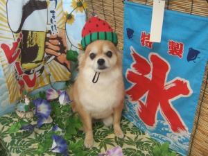 ロットくん