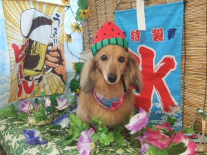 ももちゃん