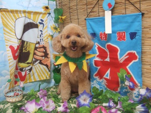 トトちゃん
