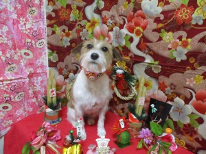 おたまちゃん