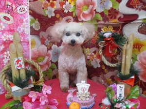さくらちゃん