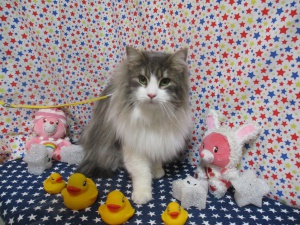 ジョンくん