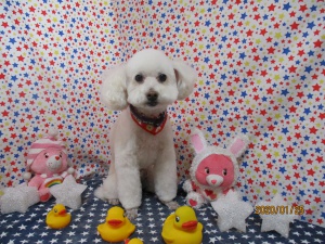 ふうたくん