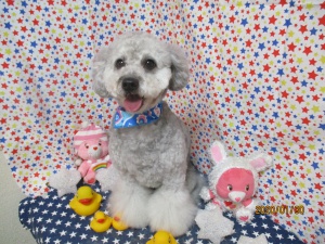 8くん