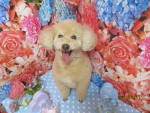 ララちゃん