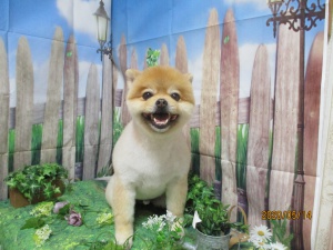 ふうたくん