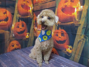 ラッキーくん