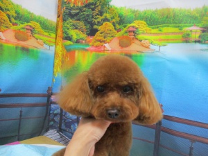 ララちゃん