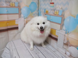 サラちゃん