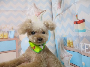 マチャドくん