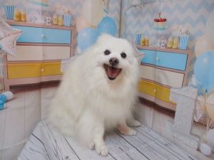 ユキちゃん