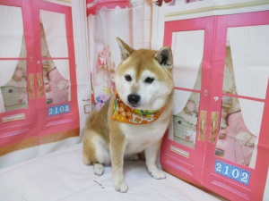 ラムちゃん