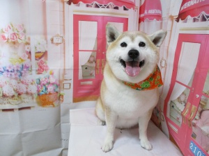ラムちゃん